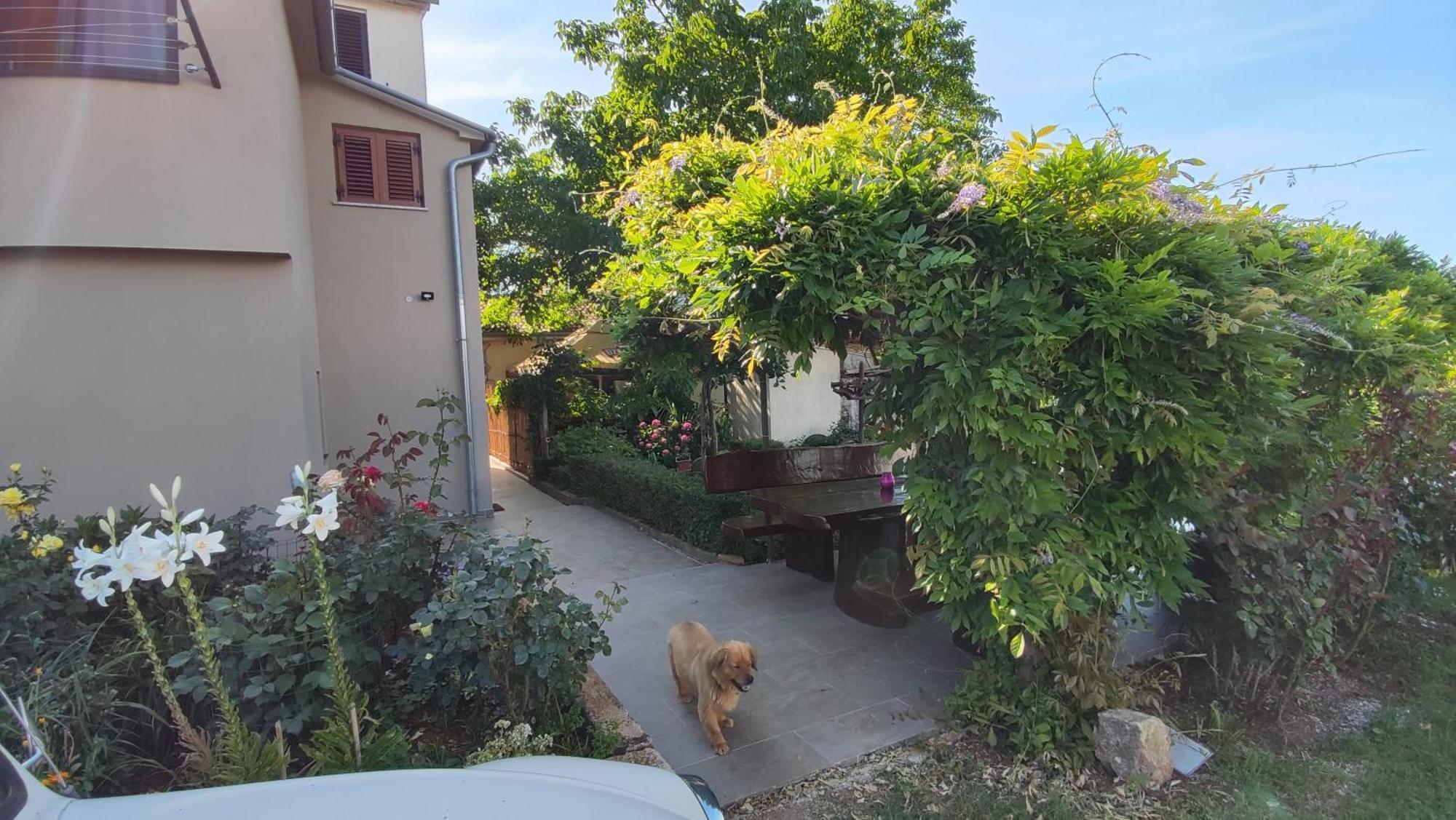 Viva Molindrio Apartment Porec Exterior photo