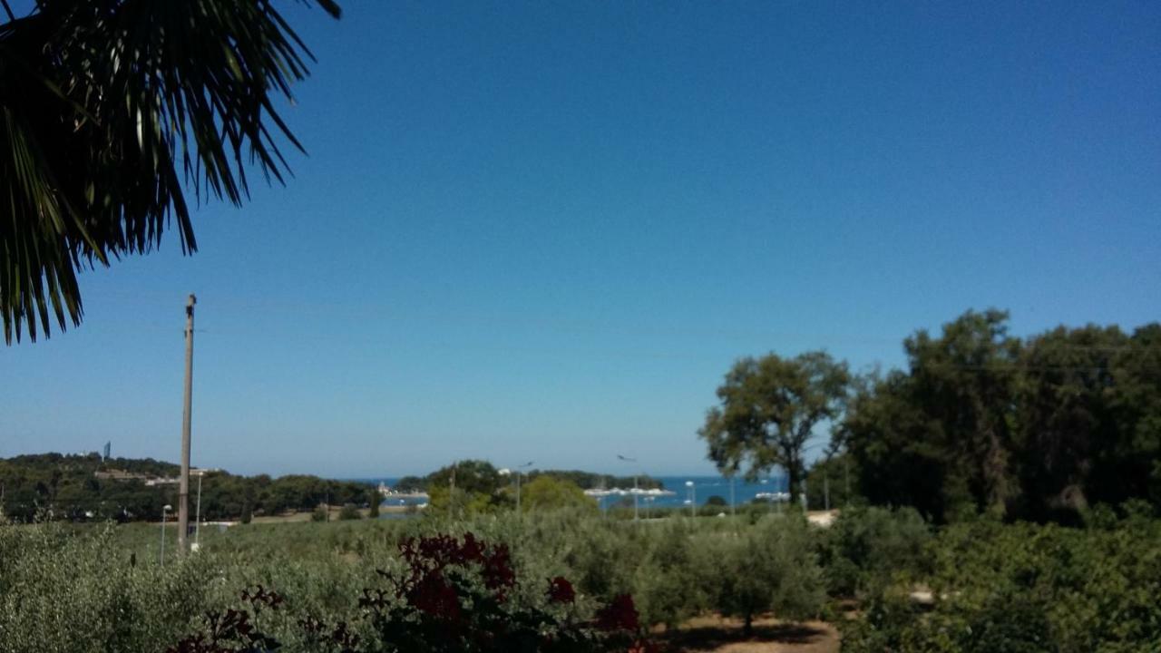 Viva Molindrio Apartment Porec Exterior photo