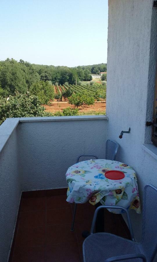 Viva Molindrio Apartment Porec Exterior photo